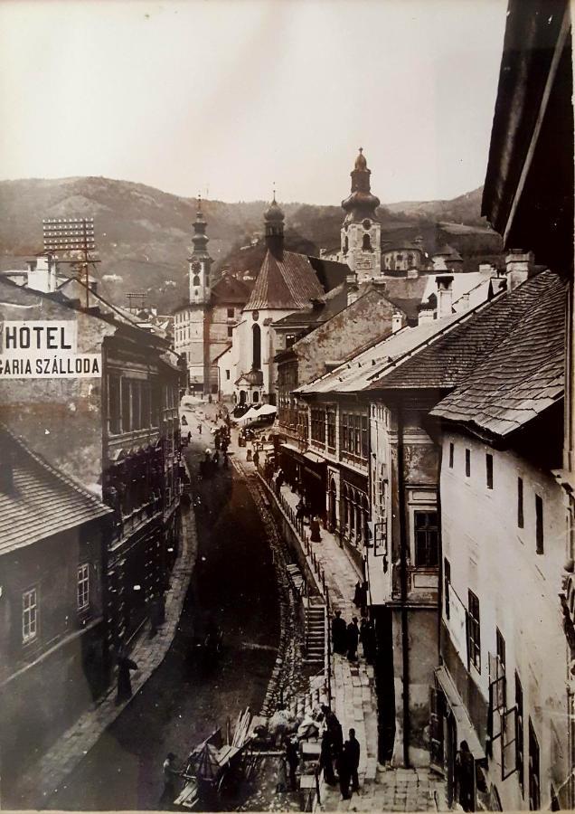 Penzión Rozália Banská Štiavnica Esterno foto